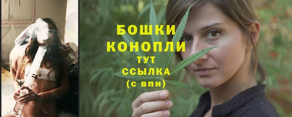винт Бронницы