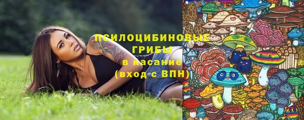 винт Бронницы