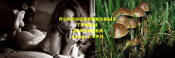 винт Бронницы