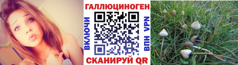 Галлюциногенные грибы прущие грибы MEGA онион Острогожск